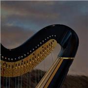 LEZIONI PRIVATE DI ARPA CLASSICA E CELTICA A BERGAMO